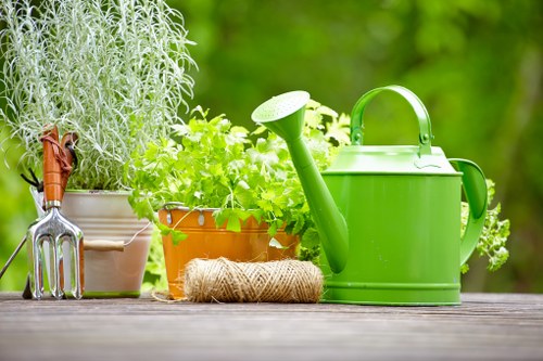 Expert tips from Gardeners Stroud Green for a thriving garden
