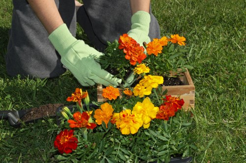 Gardeners Dream Team using advanced lawn mowing equipment