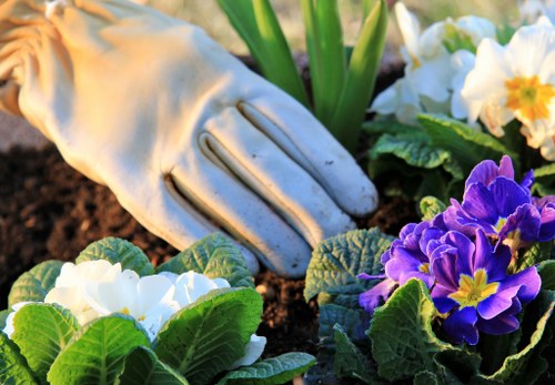 Community gardening event in Maida Vale