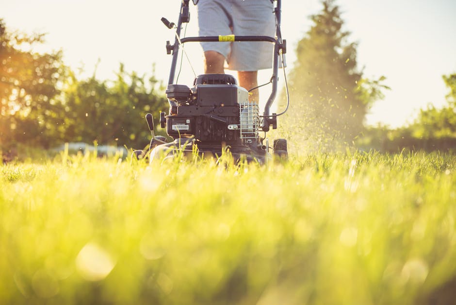 A person operating a petrol-powered lawn mower on a lush, well-maintained grassy lawn in a garden during sunny weather. The grass appears fresh and vibrant, with some freshly cut clippings visible aro