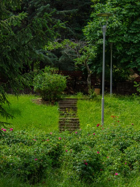 A lush, green garden scene featuring a well-maintained lawn with trimmed grass and vibrant flowering plants in the foreground. There are a set of weathered stone steps leading up a gentle slope, flank